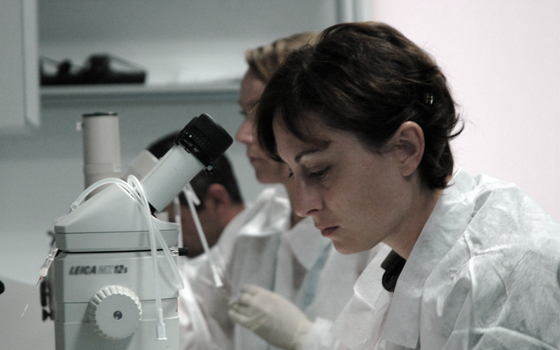 Pharmacist How to Become a Pharmacist